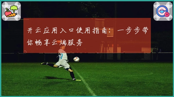 开云应用入口使用指南：一步步带你畅享云端服务